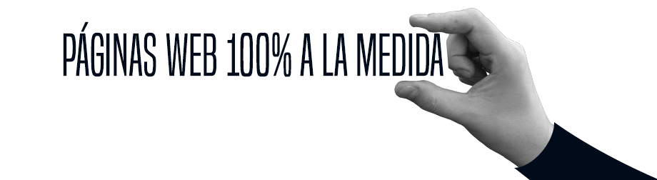 Diseño de sitios y páginas web a medida